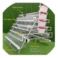 Système d'abreuvement pour élevage avicole pour cage à poules pondeuses automatique avec mangeoire et abreuvoir Batterie de poulets à vendre