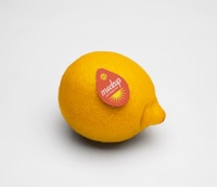Étiquettes en papier adhésives personnalisées, écologiques, imperméables, résistantes à l'huile, sans danger pour les aliments, autocollants amovibles pour l'emballage alimentaire