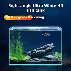 Modern 50W draagbaar glazen <span class=keywords><strong>aquarium</strong></span>, milieuvriendelijk, <span class=keywords><strong>220V</strong></span> <span class=keywords><strong>mini</strong></span> rechthoekig <span class=keywords><strong>aquarium</strong></span> met beschermende doos voor kantoor of huishoudelijk gebruik - Product Image 4