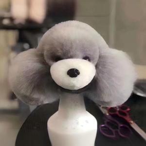 Modelo de cabeza de simulación de perro para práctica de peluquería canina, estándar para estilizar y recortar el pelo de mascotas - Product Image 3
