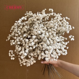 Fleur artificielle <span class=keywords><strong>Gypsophile</strong></span> à tige unique en latex toucher réel, style automne populaire, pour bouquet et décoration d'allée de <span class=keywords><strong>mariage</strong></span> - Product Image 2