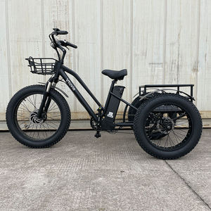 20 pollici Triciclo elettrico 750W motore grasso pneumatico 3 <span class=keywords><strong>ruote</strong></span> E <span class=keywords><strong>bici</strong></span> Triciclo <span class=keywords><strong>tre</strong></span> <span class=keywords><strong>ruote</strong></span> adulto Cargo <span class=keywords><strong>bici</strong></span> elettrica con cestino - Product Image 2