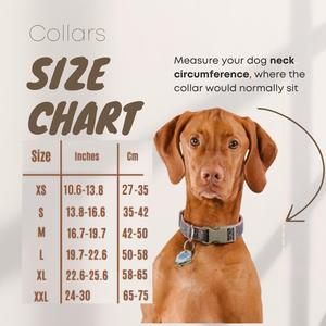 ปลอกคอสุนัขประดับพลอยเทียมเป็นประกายกว้างหนังคริสตัลสำหรับลูกสุนัขสายพันธุ์เล็กและใหญ่ - Product Image 2