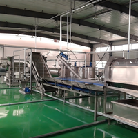 Volledig automatische multifunctionele tandwiel aangedreven 304 roestvrijstalen hoog-efficiënte lijn voor de verwerking van vers fruit sap