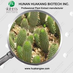 <span class=keywords><strong>Hoodia</strong></span> gordonii özü - Product Image 2