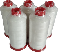 Fil à coudre en PTFE, 1 kg, fil de couture, résistant aux hautes températures et haute résistance, sans étagère