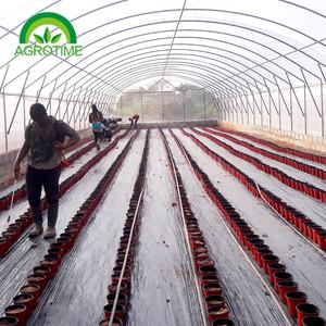Venta de invernadero de un solo uso con sistema hidropónico y otro tipo de forraje opcional - Product Image 5