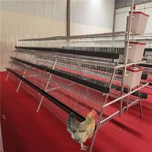 Katman tavukları için en iyi fiyat kanatlı kafes sistemi, 1000 kuş için a-tipi otomatik tavuk kafesi - Product Image 1