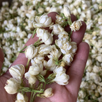 Thé biologique en vrac en vrac au parfum original le plus fort de fleurs de jasmin lyophilisées pour boulangerie/mélange/tisane 5A Grade 500 g/sac
