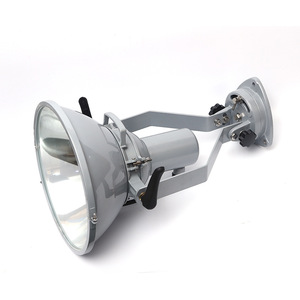 TG7 500W Self-Ballasted Mercury <b>Bulb</b> Marine and Dock Work <b>Light</b> <b>Outdoor</b> Floodlight - Product Image 4