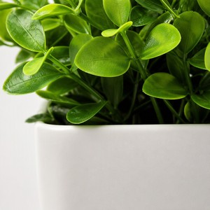 Plantes artificielles en pot, <span class=keywords><strong>fleurs</strong></span> artificielles Shimmer Star dans un pot blanc pour la décoration de la maison, <span class=keywords><strong>du</strong></span> bureau, de la table, style minimaliste - Product Image 3