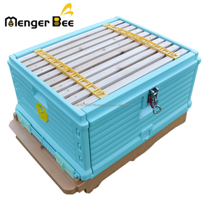 HDPE nhựa tổ ong langstroth 2 lớp 10 khung Poly Bee Hive hộp - Product Image 6