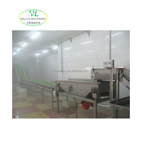 Hoge Kwaliteit Industriële Gebruik Automatische Groenten Fruit Verwerking Lijn Mixer Voedsel Sterilisator Pasteurisator 2mt/Uur Capaciteit Voor