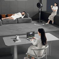 Réservation familiale télécommande temporisée stéréo ventilateur de sol dortoir ventilateur électrique chambre basse ventilateur de Circulation d'air
