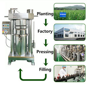 Presse à huile hydraulique commerciale de beurre de cacao presse à froid presse à huile hydraulique de fève de cacao à vendre - Product Image 4