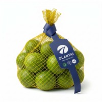 Vente en gros usine : Rouleau d'étiquettes en plastique pour fruits, forme haltère et nœud papillon, avec logo personnalisé, pour sacs filets à fruits