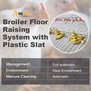 อัตโนมัติไก่ไก่ Feeding Line ระบบฟาร์มสัตว์ปีกอุปกรณ์สำหรับขาย - Product Image 4