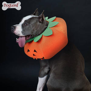 Disfraz de accesorio de cuello electrónico para perro con diseño de calabaza de <span class=keywords><strong>Halloween</strong></span> para perros, correas para mascotas - Product Image 6