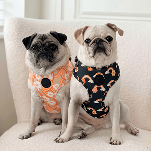 Phụ Kiện Vật Nuôi 2025 Teddy Pitbull Thiết Kế Con Chó Cổ Áo Và Dây Xích Thiết Lập Sang Trọng Tùy Chỉnh Con Chó Khai Thác Mascotas Accesorios Por Thị Trưởng - Product Image 5