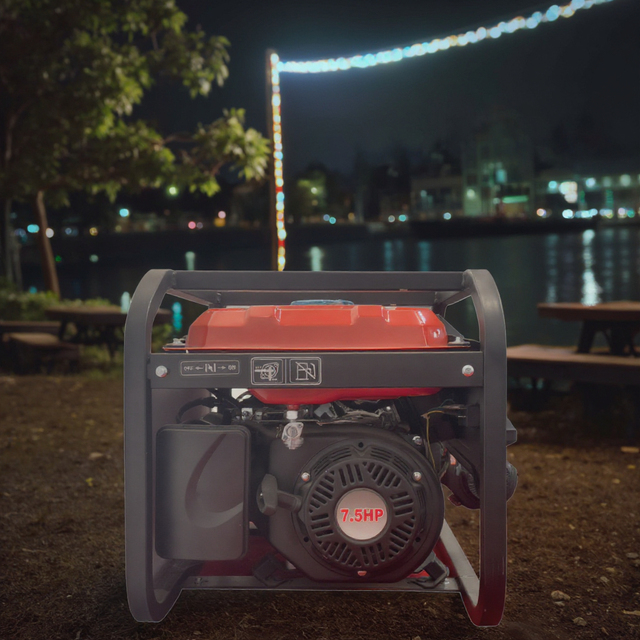 60Hz 3KW Single-Phase Inverter Petrol/Electric Generator for Home Use Auto Speed with Dual AC/DC Output