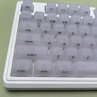 In Stock Wholesale Jellyfish White KeyCaps MDA Height Full Set 119 Keys PC Material Side-Printed Characters Translucent Keycaps