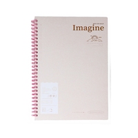 Découvrez avec Depai's B5 Colorful Double Coil Notebook 80 feuilles Lignes horizontales Carton blanc Adapté aux besoins de documentation