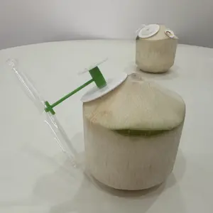 hot sale fresh green coconut opener/coconut easy open open ring /coconuts fresh thailand young easy open