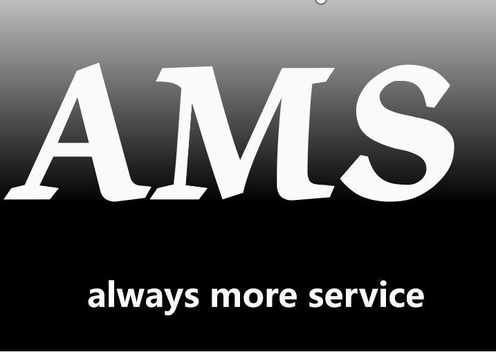 Hubei Amstel Intelligent Technology Co., Ltd.