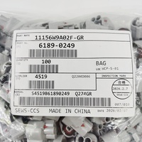 Conector TS original 6189-0249 automotriz impermeable 2 pines PBT gris carcasa hembra