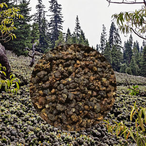 <span class=keywords><strong>ชา</strong></span>อู<span class=keywords><strong>หลง</strong></span>ไต้หวันออร์แกนิกคุณภาพสูง ใบ<span class=keywords><strong>ชา</strong></span>หลวม รสผลไม้ ช่วยบำรุงสุขภาพ <span class=keywords><strong>ชา</strong></span> GABA บรรจุกล่อง/ถุง - Product Image 3