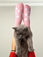 5 paires de chaussettes d'hiver tricotées anti-bactériennes à motif de chat mignon pour femmes, cadeaux amusants pour les amoureux des chats, chaussettes de Noël parfaites