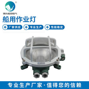 Lámpara de Pasillo Exterior Impermeable SGE-W35P para Trabajos en Muelles y Túneles, Solución de Iluminación Exterior Premium - Product Image 2