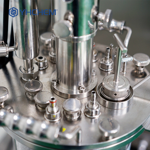 Biorreactor compacto de sobremesa con tanque agitado de vidrio: fermentador de laboratorio, soluciones de cultivo celular y proveedor - Product Image 5