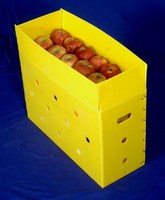 Neue 2023 Beste Qualität PP-Hohlkammerplattenbox für Lagerung, Verpackung und Handling – Kunststoff-Verkaufsverpackungsboxen