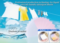 Máquina para Fabricar Hojas de Detergente para Ropa con Doble Enzima y Pulverización Automática de Enzimas Líquidas y Sólidas