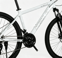 Vélo de montagne pour adultes et enfants, modèle à frein à disque - Vélo de montagne pour adolescents - Vélo de montagne tout-terrain