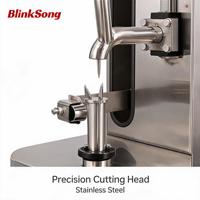BlinkSong Commerciële Elektrische Fruit- en Groenteschilmachine van RVS, Automatisch, voor Restaurant en Voedselverwerking