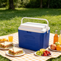 Glacière portable 6L pour extérieur, camping, pique-nique, voyage, stockage alimentaire