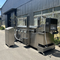 Productielijn voor automatische frituurapparatuur van roestvrij staal voor aardappelchips, frieten en maïs snacks