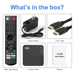 OEM Wholesale M9 TV Box Big Voice Remote 4K 2GB 16GB 4GB 32GB Dual Wifi Video Player Android 11 OS Set Top Box MTV VS Q8 Tv Box