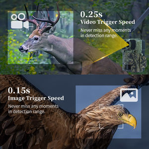 Caméra de surveillance de la faune Caméra de piste sans fil 4G KW896 avec antenne 100ft Night Range 32MP 2K Caméra d'<span class=keywords><strong>observation</strong></span> animale - Product Image 2