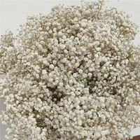 Offre Spéciale : Fleurs de Gypsophile Séchées et Préservées pour Décoration Intérieure et Extérieure, Mariages et Maison