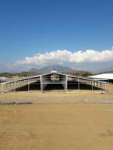 Bâtiment à structure en acier préfabriqué à faible coût poulailler à structure en acier poulaillers à structure en acier - Product Image 3