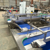 Automatische fruitgewicht-, formaat- en suikersorteermachine met visueel inspectie- en sorteerlijn en suikergehalte-detector voor appels en sinaasappels