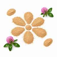 Extrait de trèfle rouge naturel en poudre, vitamine C, qualité alimentaire, pour l'équilibre hormonal féminin, en flacon
