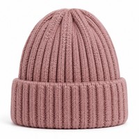Bonnet en tricot côtelé épais rose poudré pour femme, taille unique, avec revers, chaud, hiver, patch tissé, logo personnalisé, vente en gros, approvisionnement en vrac