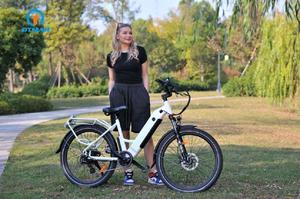 Vélo électrique tout-terrain <span class=keywords><strong>OTMAR</strong></span> OEM/ODM 750W/1000W avec pneus larges de 20 pouces pour la neige, moteur à moyeu arrière, batterie au lithium, cadre en alliage d'aluminium à 7 vitesses - Product Image 2