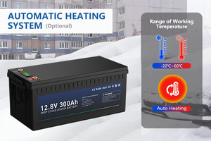 Bộ pin <span class=keywords><strong>Lithium</strong></span>-ion Lifepo4 24V 12V 7s 100Ah 280Ah 200Ah, pin năng lượng mặt trời <span class=keywords><strong>Lithium</strong></span> 24V 300Ah 400Ah 600Ah có BMS - Product Image 5