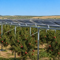 Système de montage solaire agrivoltaïque sur structure de support photovoltaïque au sol pour vergers, pour exploitation agricole commerciale