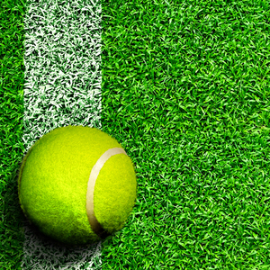 Alfombra de césped artificial de alta calidad/<span class=keywords><strong>Tenis</strong></span> de césped artificial/Cancha de pádel, cancha de <span class=keywords><strong>tenis</strong></span> - Product Image 2